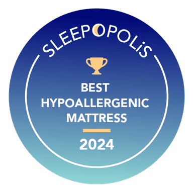 <p>Best Hypoallergenic Mattress</p>