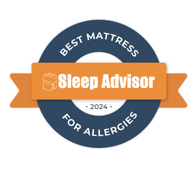 <p>Best Mattress for Allergies</p>