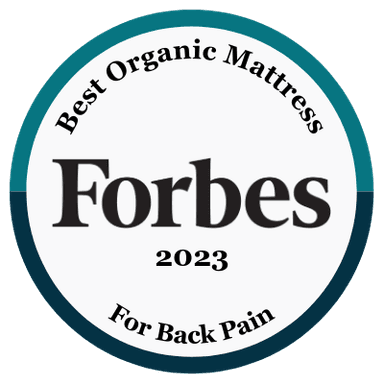 Best Organic Mattress for Back Pain 2023