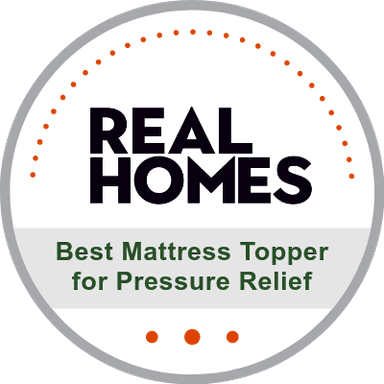 <p>Best Mattress Topper for Pressure Relief</p>